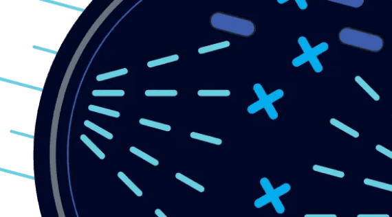 TTFields disrupting mitotic spindle alignment in cancer cells