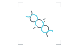 Simplified diagram showing TTFields-induced molecular changes