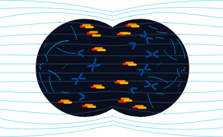 TTFields effects during anaphase in cell division